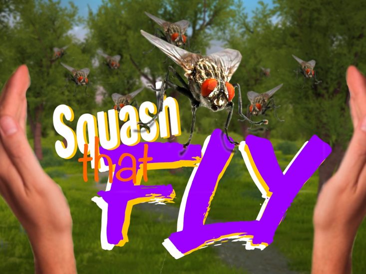 Squash that Fly wallpaper